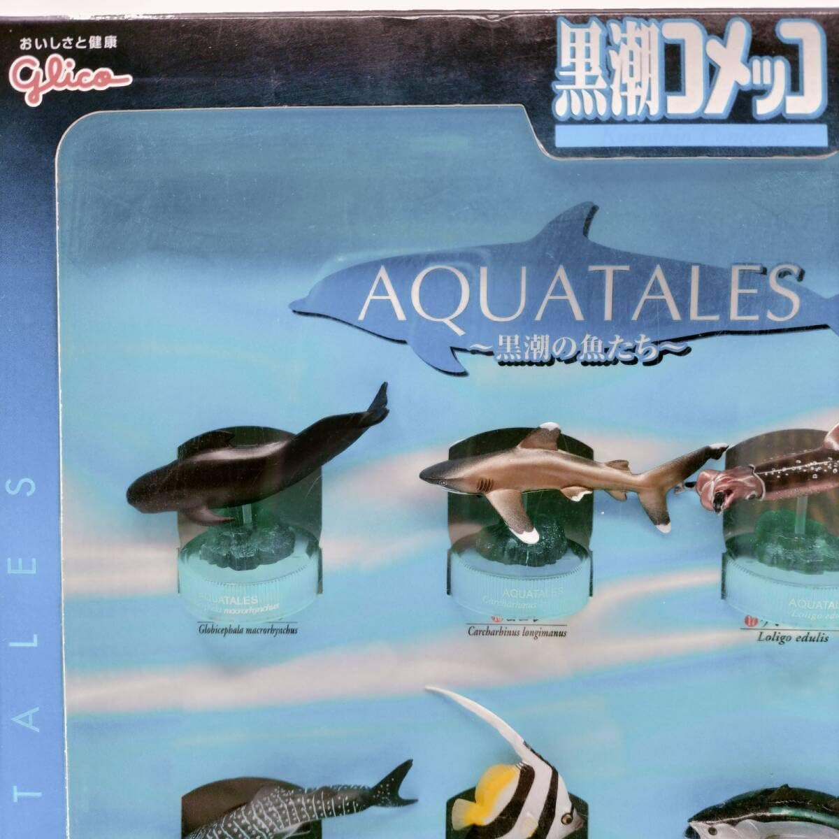 海洋堂 アクアテイルズ 黒潮の魚たち glico