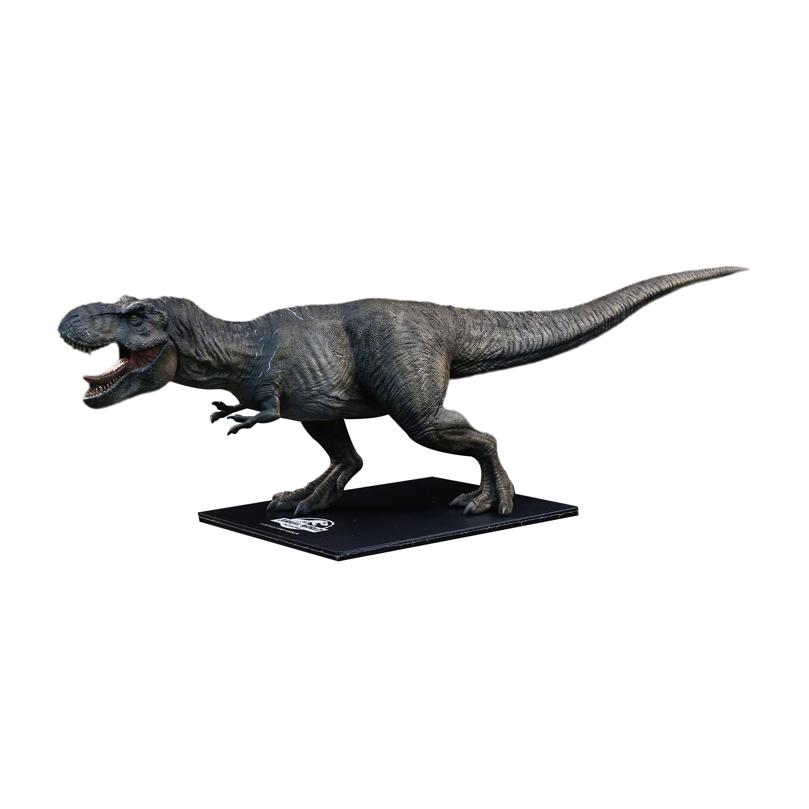 Amazon.co.jp: DINO DREAM 限定版 1/30 サイズ ティラノサウルス