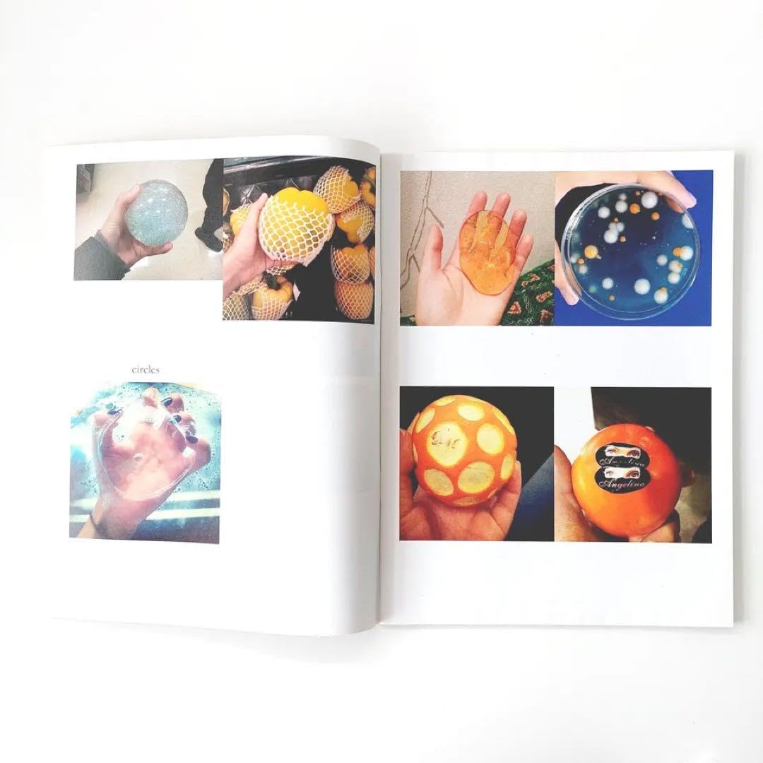 Amazon.co.jp: 貴重 The Jeanette Hayes Purple Book : 文房具