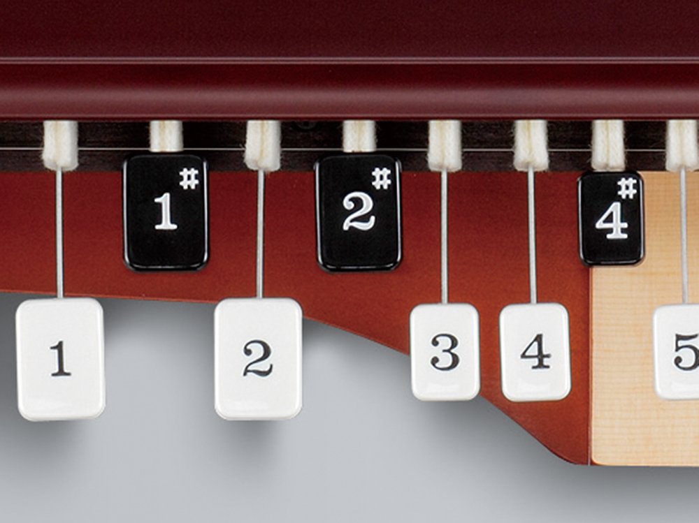 Amazon | SUZUKI スズキ 弓弾き大正琴 悠弓 | 大正琴 | 楽器・音響機器