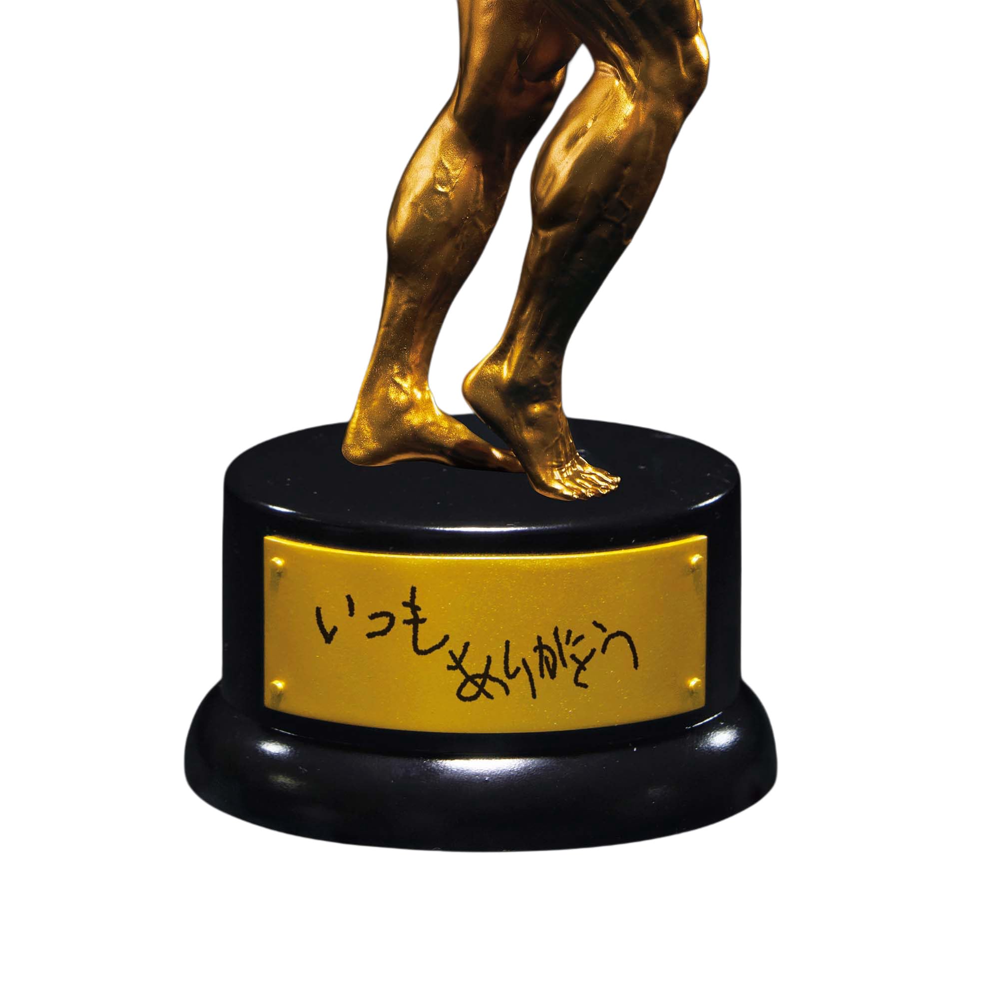 Amazon.co.jp: MUSCLE STARS PIECE なかやまきんに君～りそうの姿