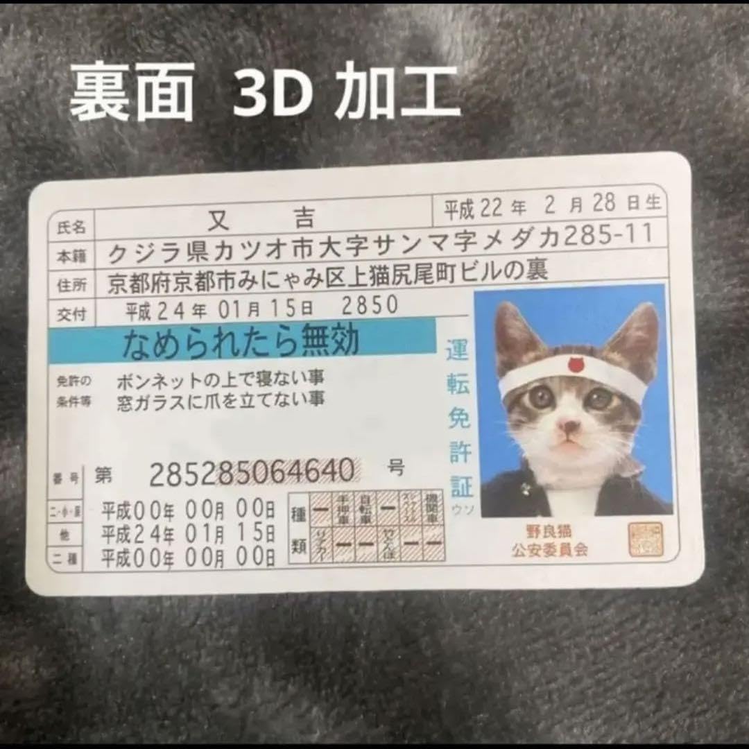 Amazon.co.jp: 【希少品】 なめんなよ猫 なめ猫又吉免許証 レア 裏面