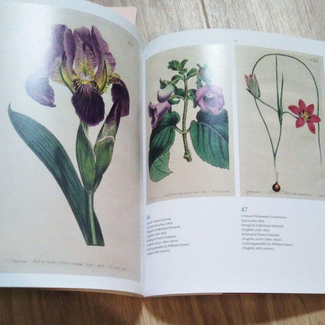 図録『永遠に花咲く庭 17ー19世紀の西洋植物画』 図録『永遠