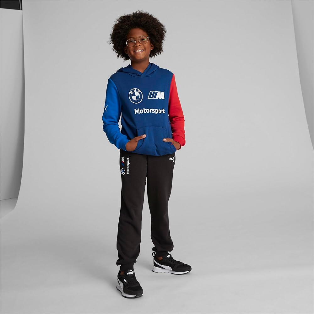 Amazon.com: PUMA BMW M Motorsport Hoodie: Clothing, Shoes & Jewelry