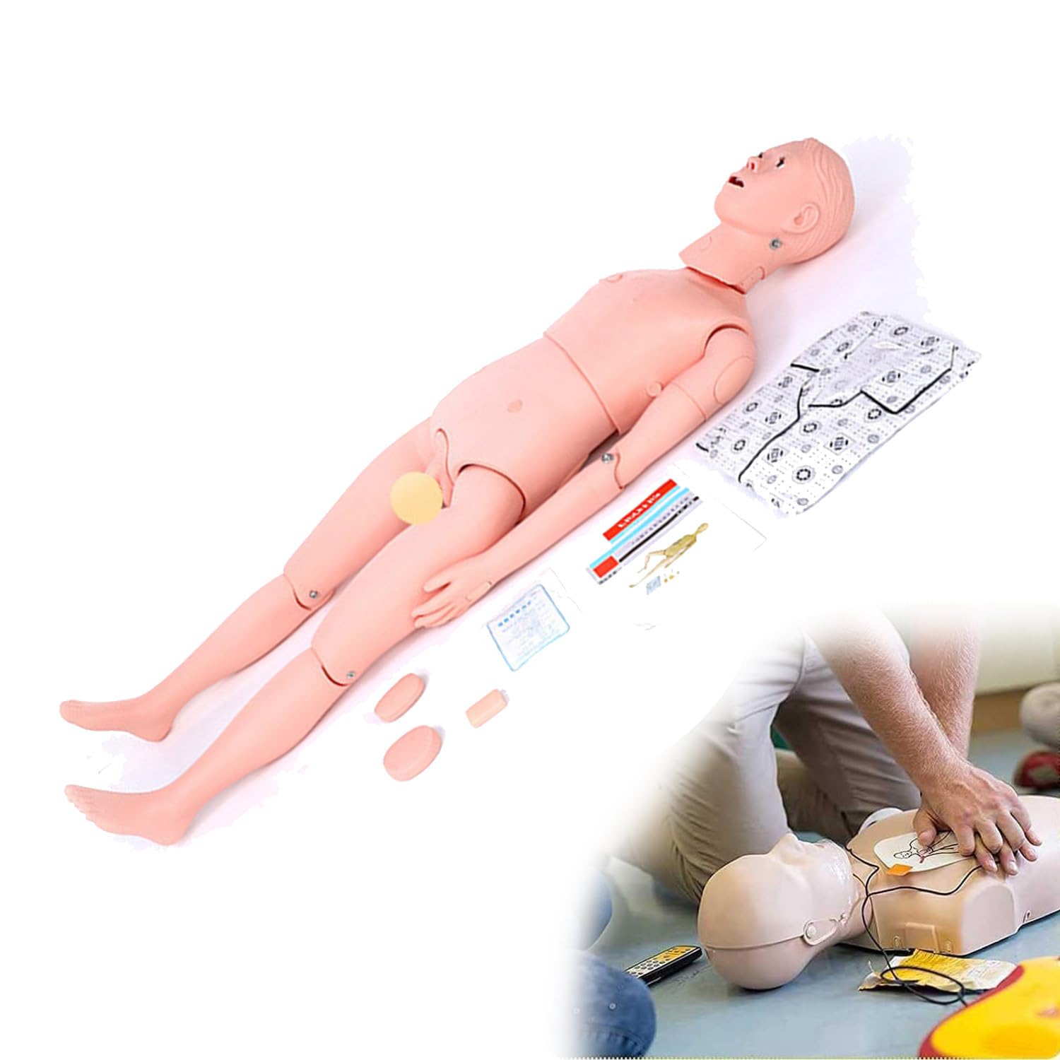 Amazon.co.jp: 成人用CPR心肺蘇生トレーニングマネキン、人体モデル