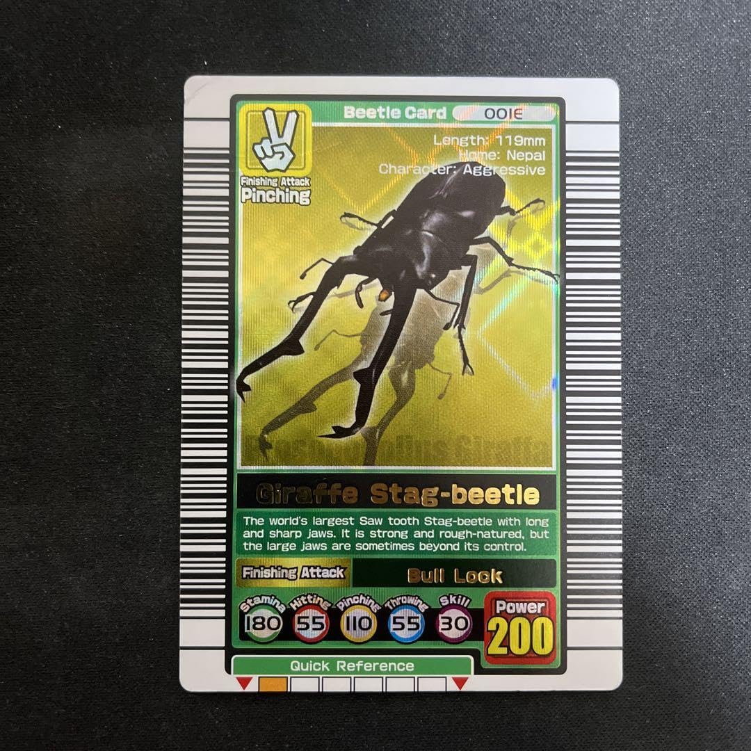 Amazon.co.jp: ギラファノコギリクワガタ 英語版 2003春デザイン