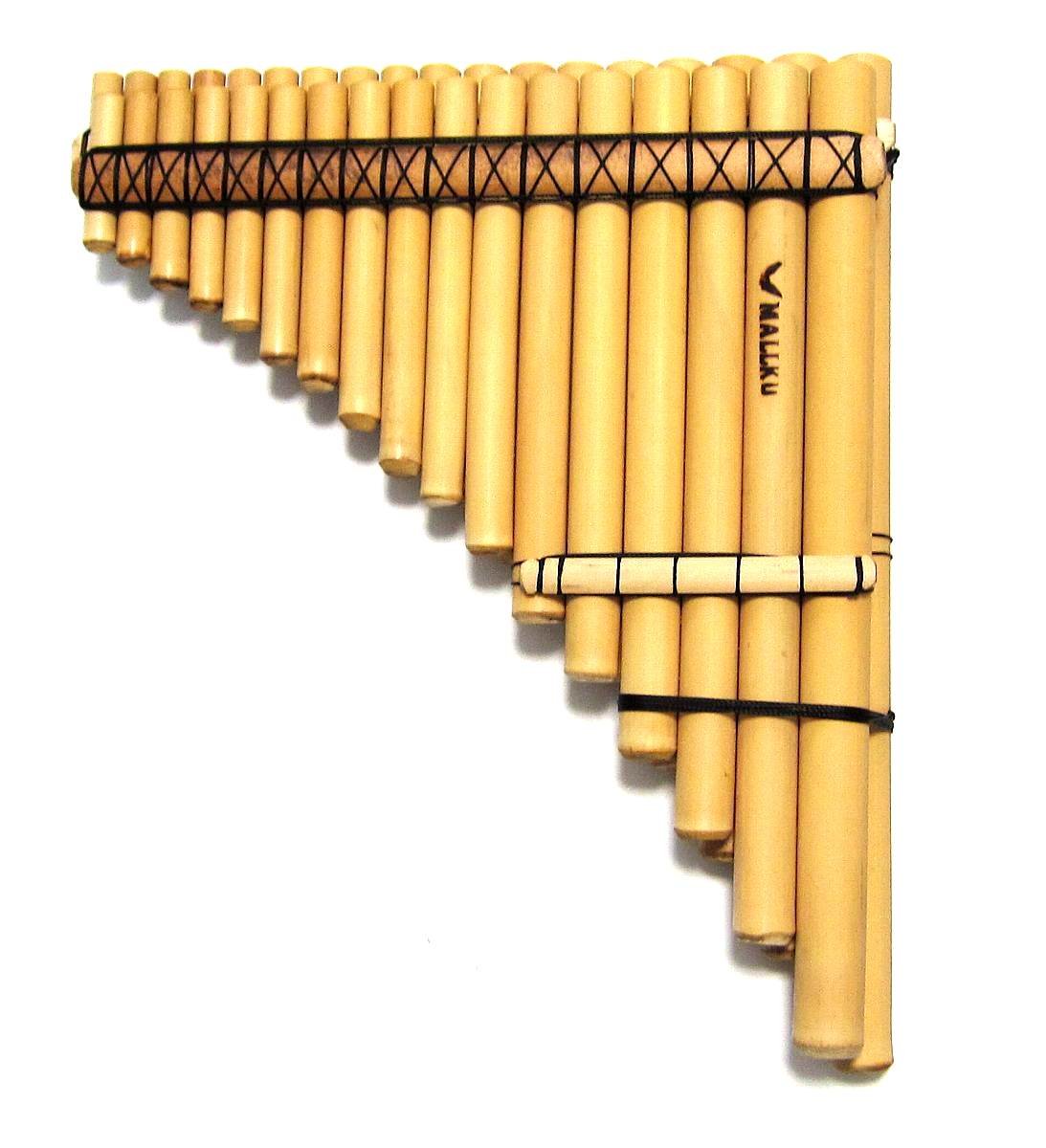 Amazon | クロマチック サンポーニャ プロ用 マルタ 2列タイプ （17+18