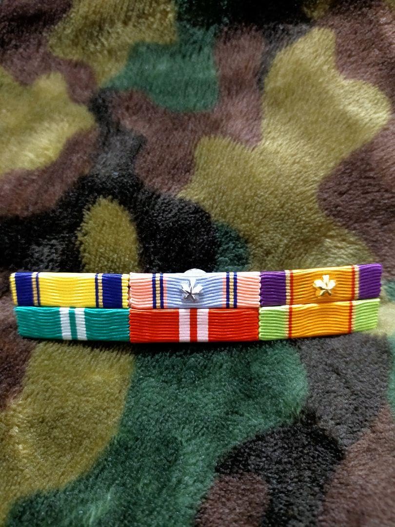 Amazon.co.jp: 防衛記念章記念品!!階級章!ビンテージ品!プレミア品