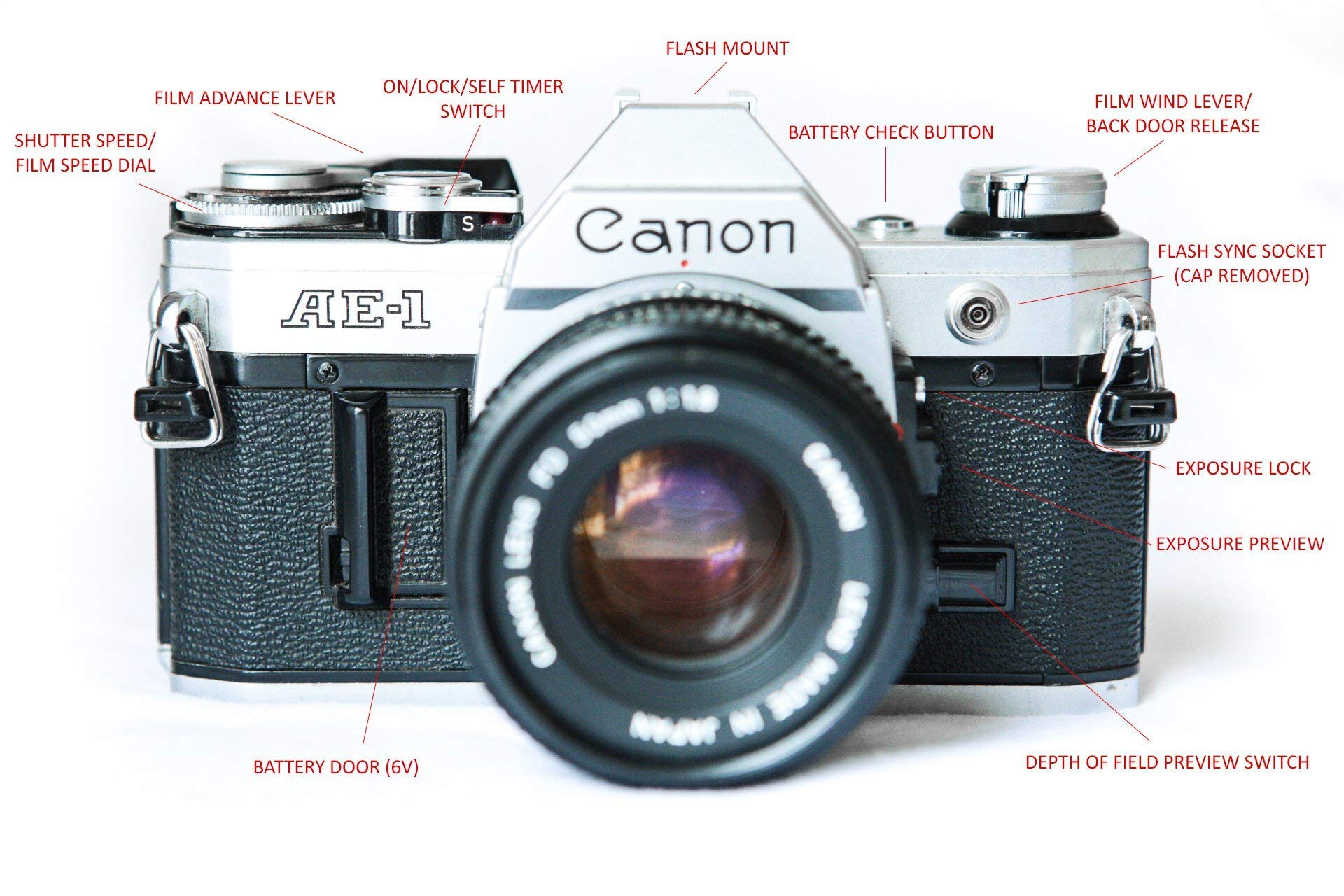 美品 AE-1 PROGRAM + FL50mm F1.8 + フィルター 美品 AE-1 PROGRAM +