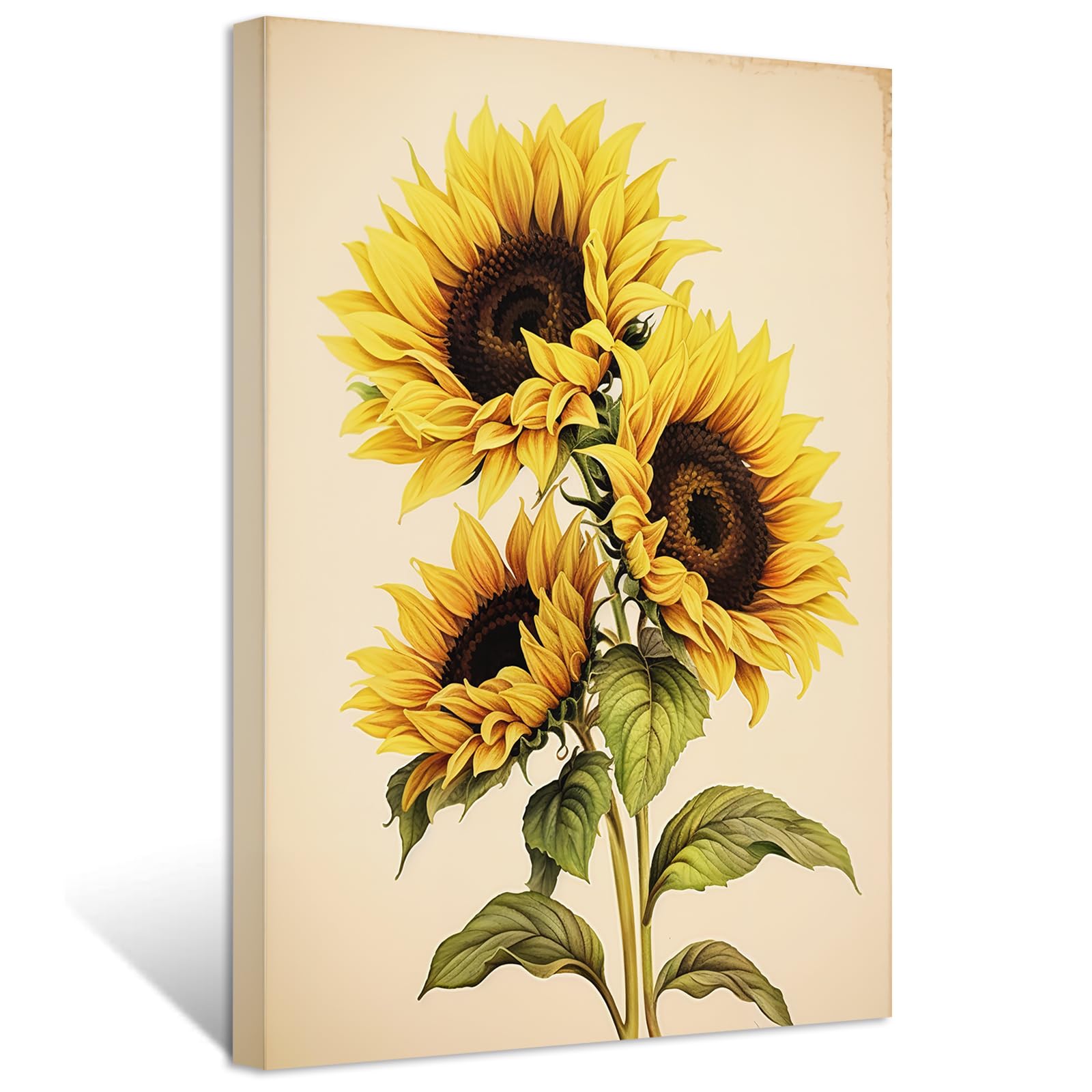 ひまわり さまへ ご案内のための専用ページです*✽: ひまわり様