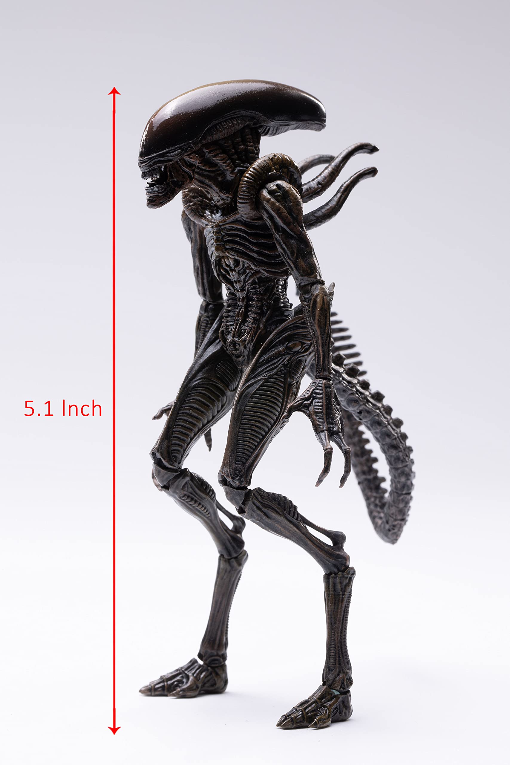 Amazon.com: Hiya Toys Alien: Resurrection Lead Alien Warrior 1:18