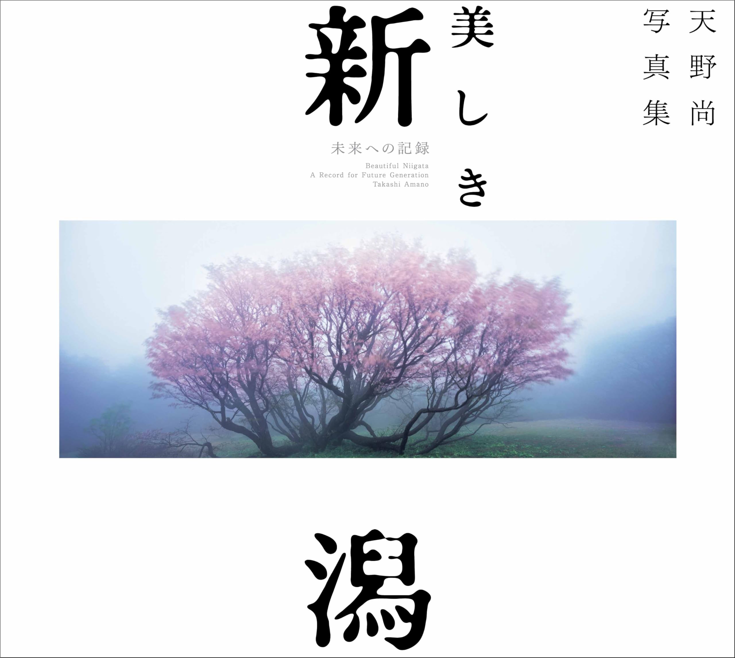 Amazon.co.jp: 天野尚写真集 美しき新潟 未来への記録 : 天野 尚: 本