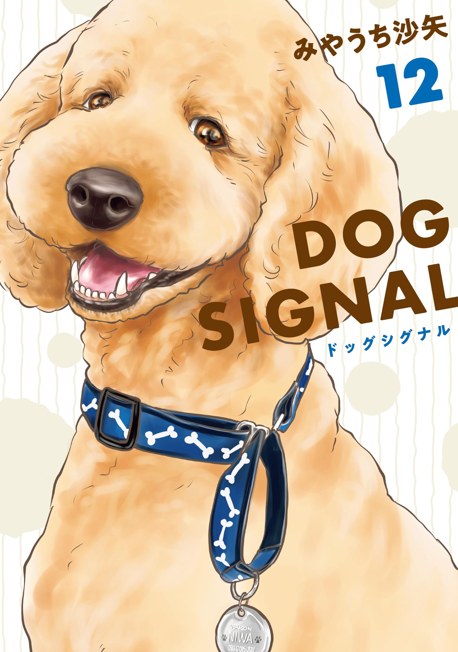 Amazon.co.jp: DOG SIGNAL 12 (BRIDGE COMICS) : みやうち 沙矢: 本