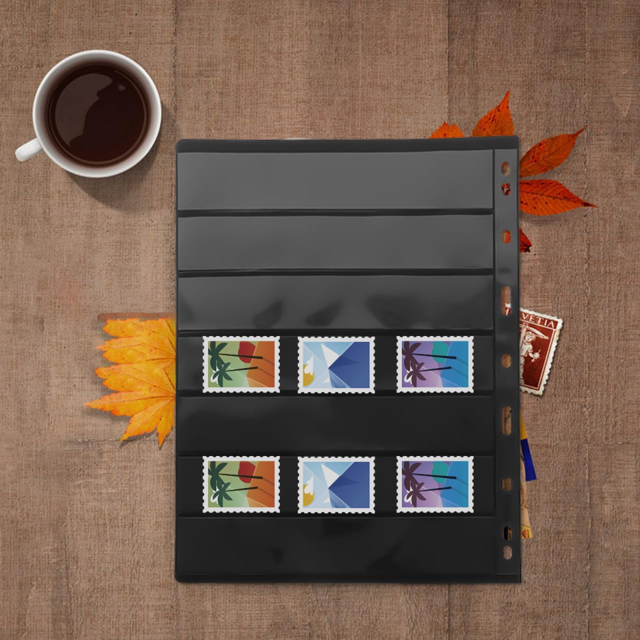 Amazon.co.jp: FOMIYES 10 枚 切手ページ 切手アルバム バインダー