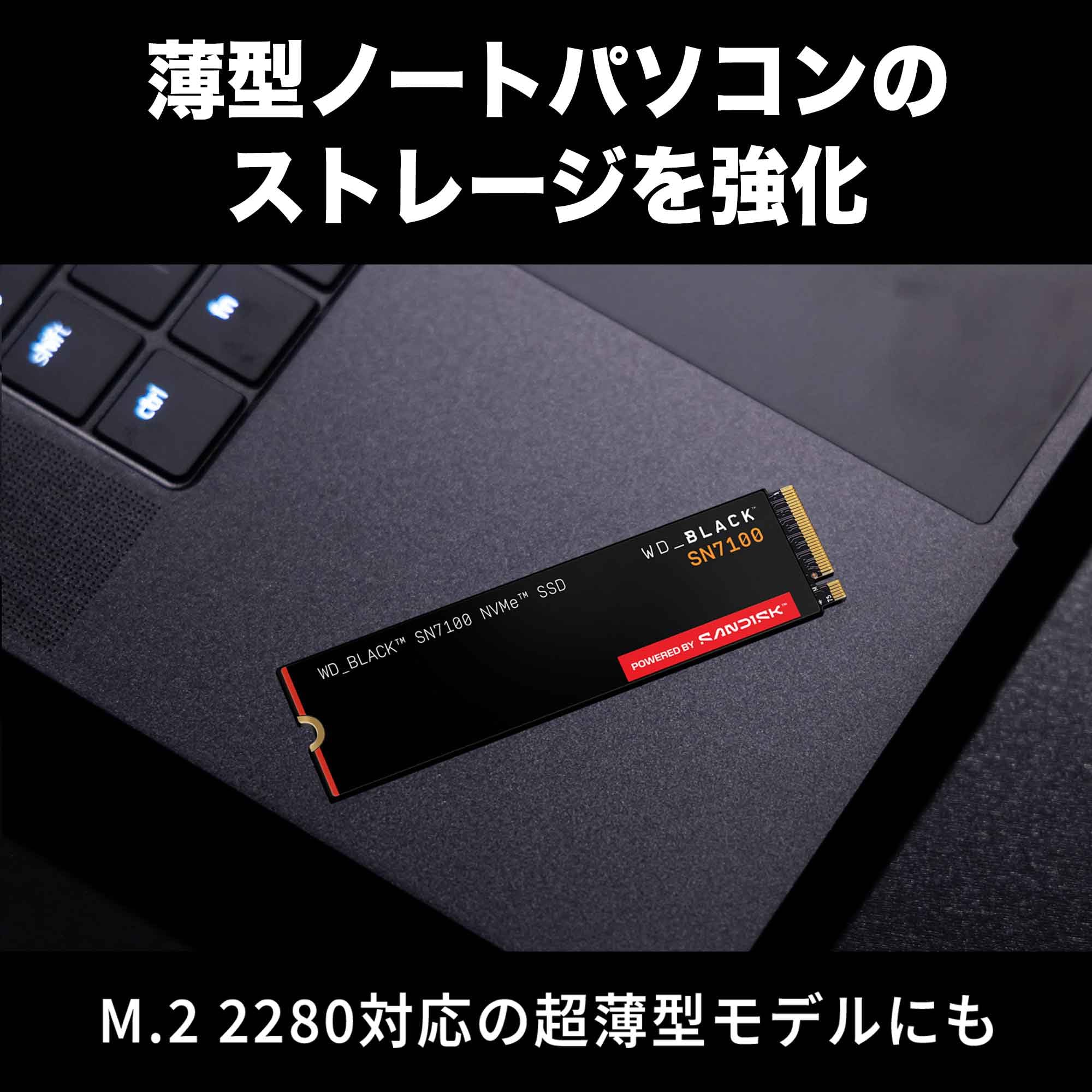 Amazon | Western Digital ウエスタンデジタル 内蔵SSD 500GB WD Black