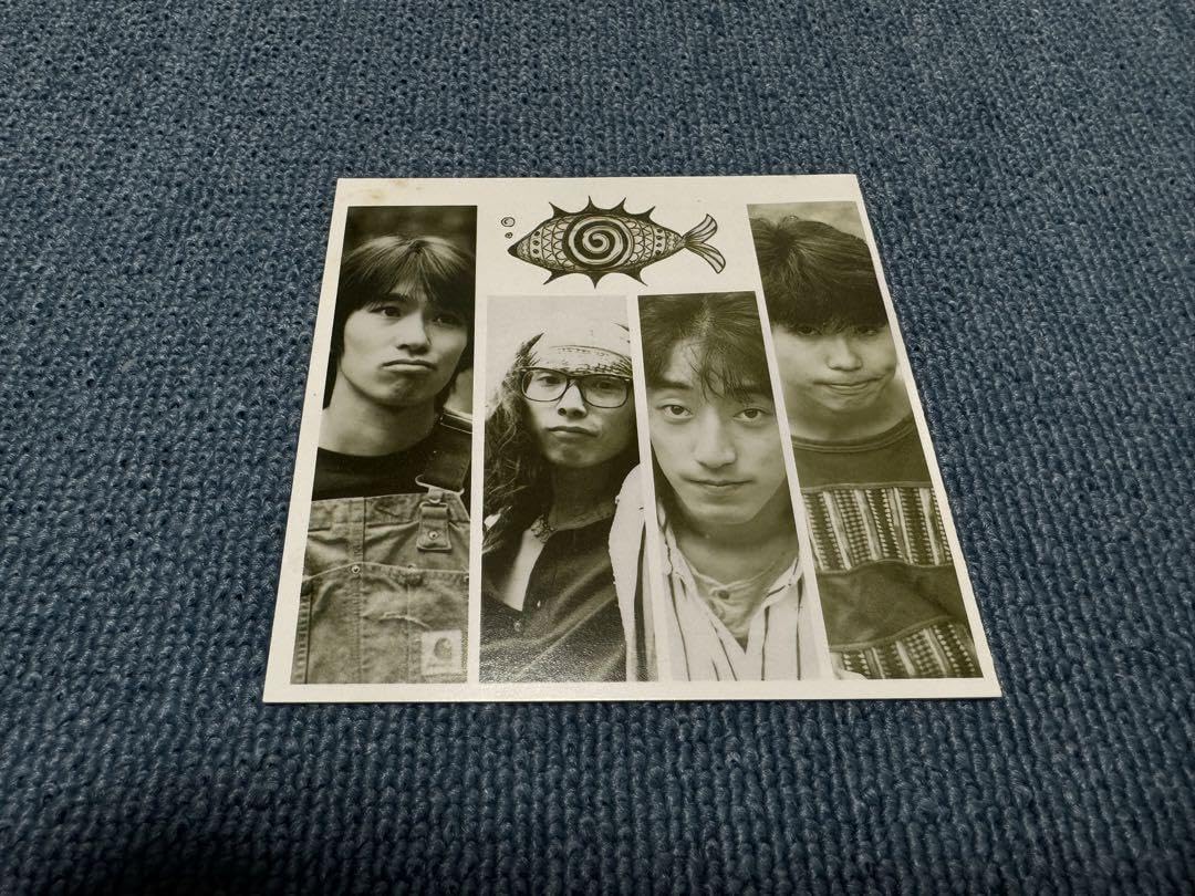 Amazon.co.jp: スピッツ ヒバリのこころ インディーズCD 帯付き : おもちゃ