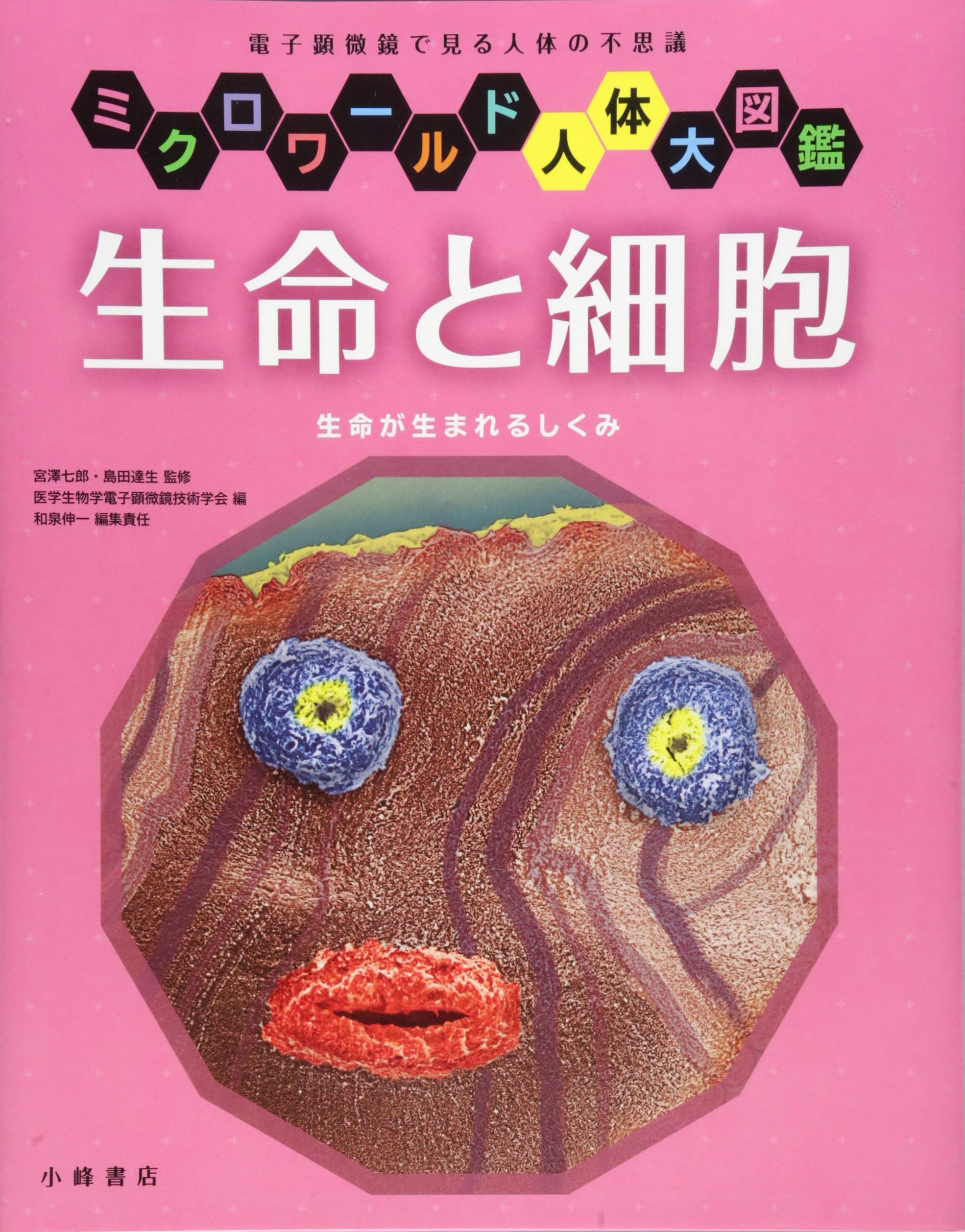 Amazon.co.jp: 生命と細胞 (ミクロワールド人体大図鑑) : 宮澤七郎