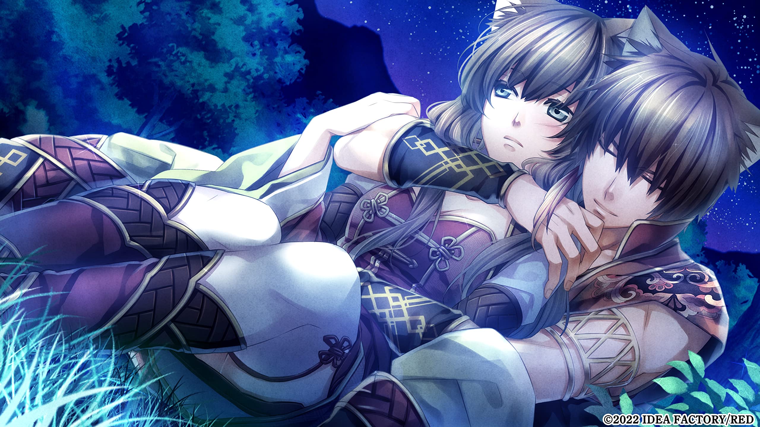 Amazon.co.jp: 十三支演義 偃月三国伝1・2 for Nintendo Switch