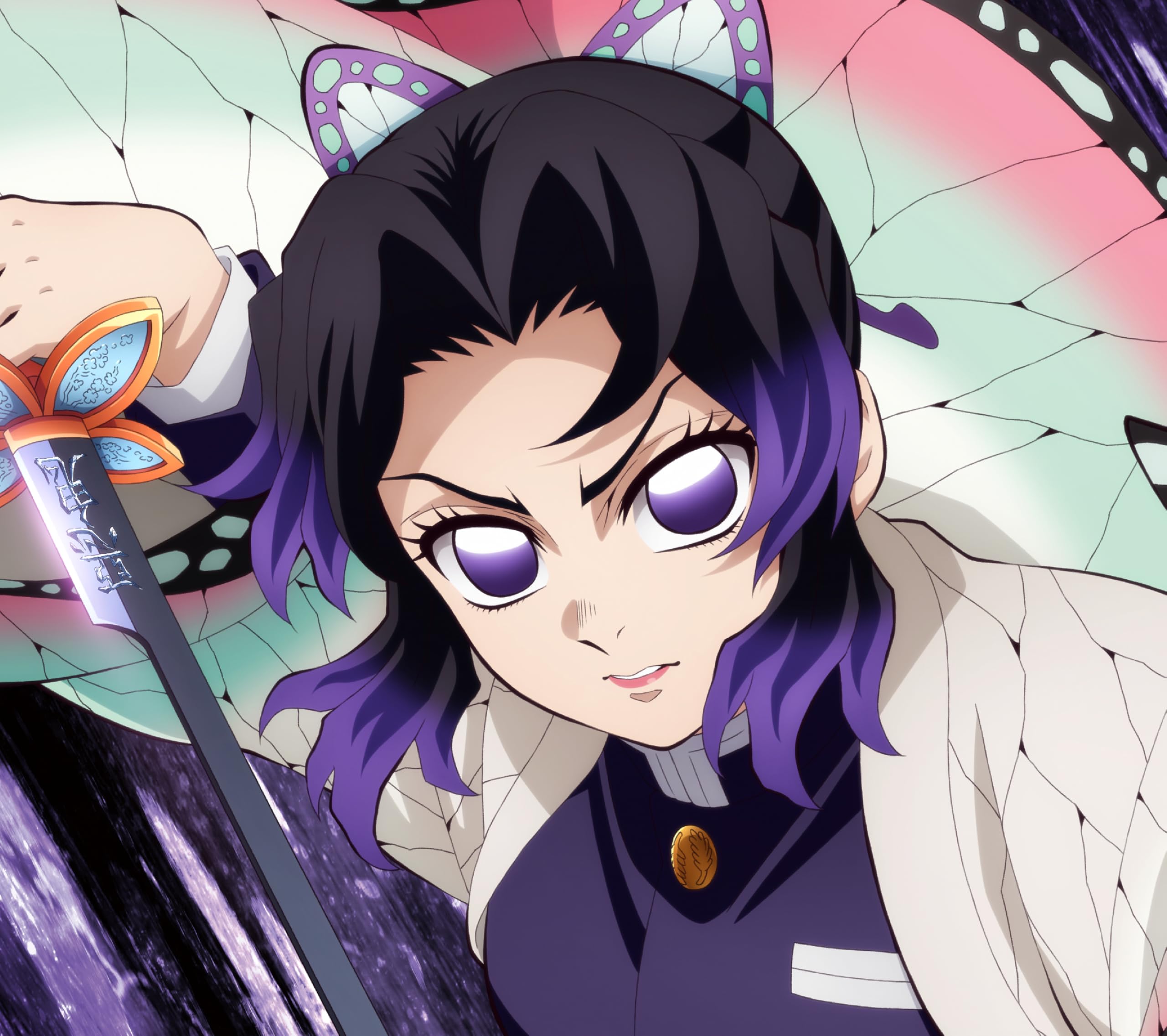 Amazon | 太陽が昇らない世界 - Aimer (期間生産限定盤) (特典なし