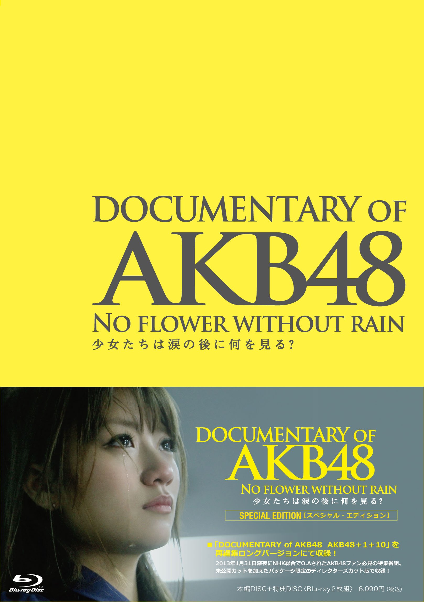 Amazon.co.jp: DOCUMENTARY OF AKB48 NO FLOWER WITHOUT RAIN 少女たち