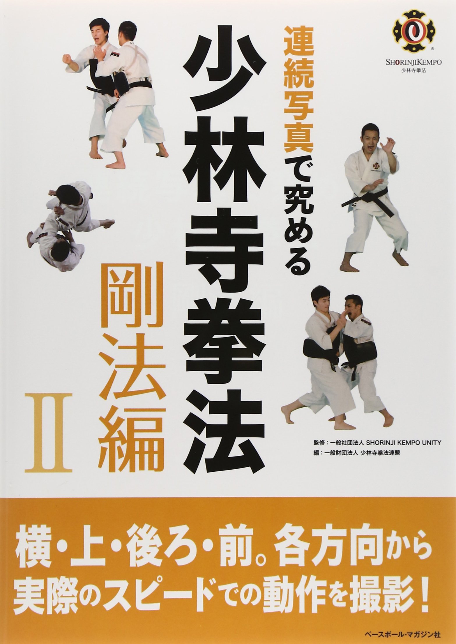 拳理体感 DVD セット 剛法編I・II 柔法編 少林寺拳法 拳