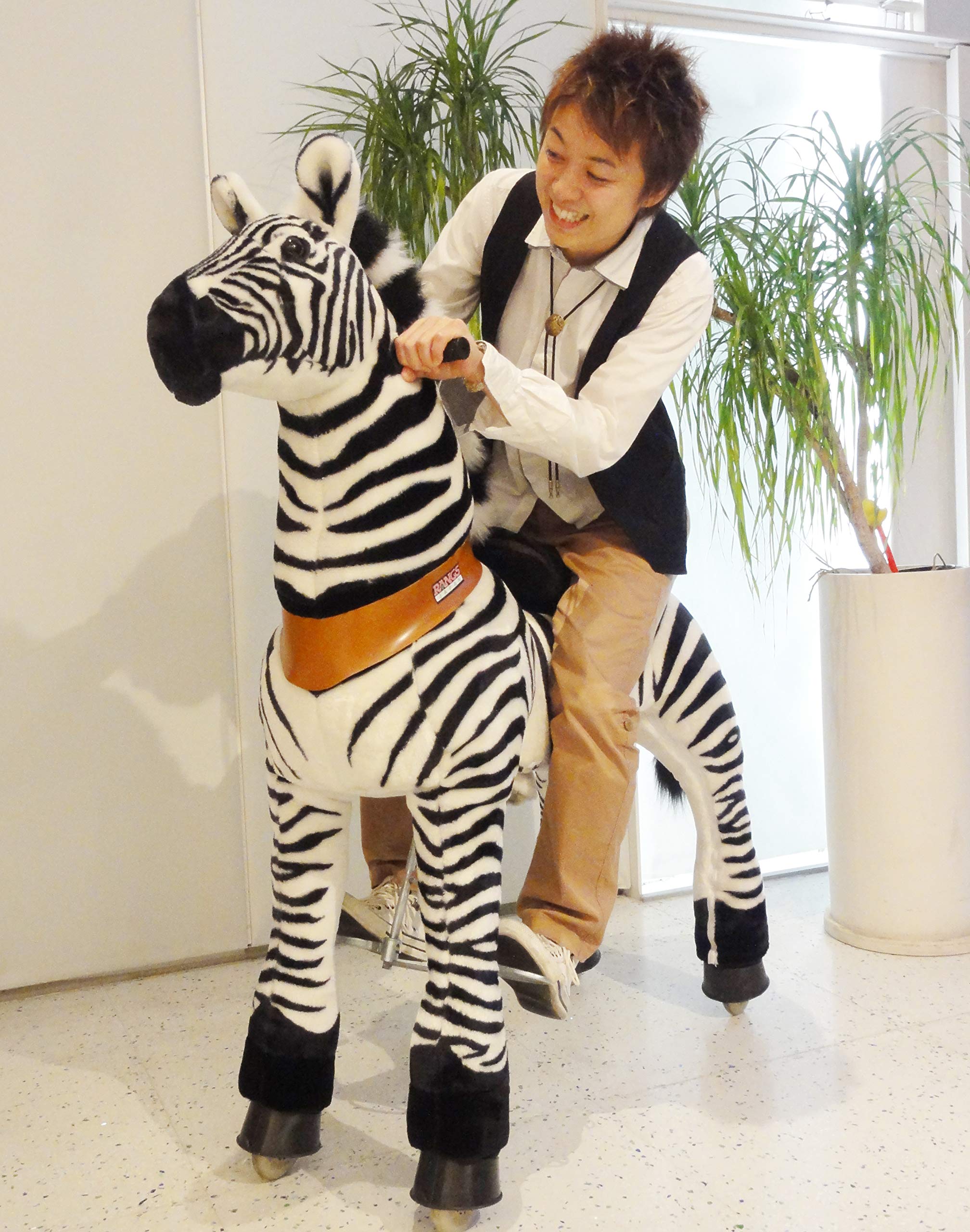 Amazon.co.jp: ラングスジャパン(RANGS) エコポニーアミューズメント