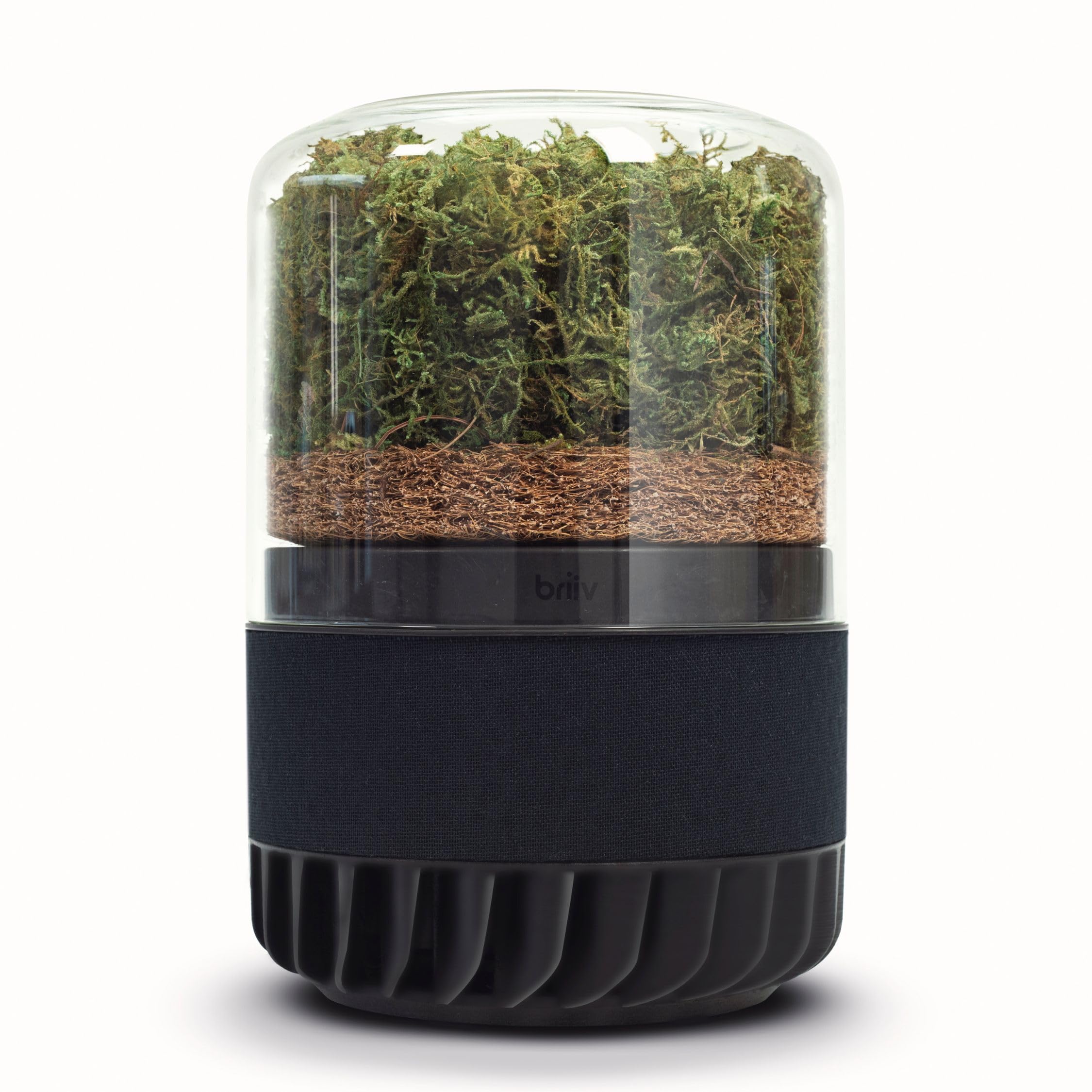 Amazon.co.jp: BRIIV 2 (ブリーヴ) 英国発の自然派エコ空気清浄機 コケ