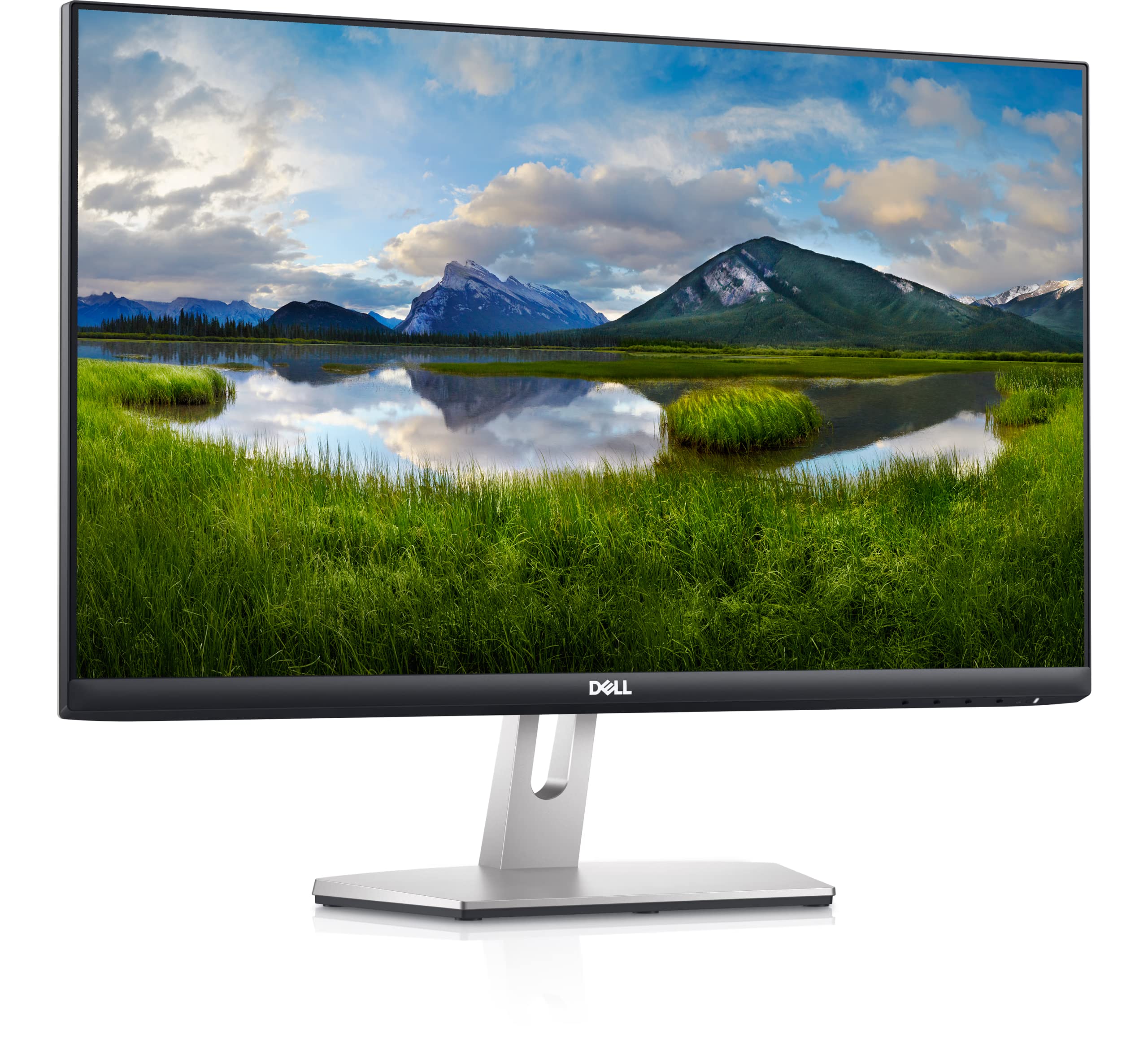 Amazon.com: Dell S2421HN 24 Inch Full HD 1080p (1920 x 1080) 75Hz