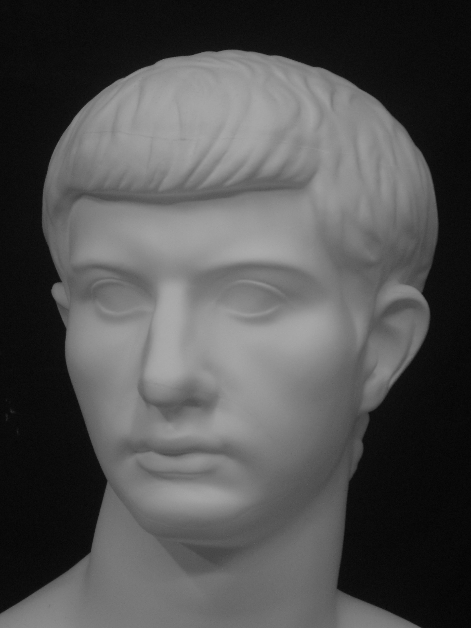 Amazon.co.jp: 石膏像 K－165 青年ブルータス胸像 H．53cm