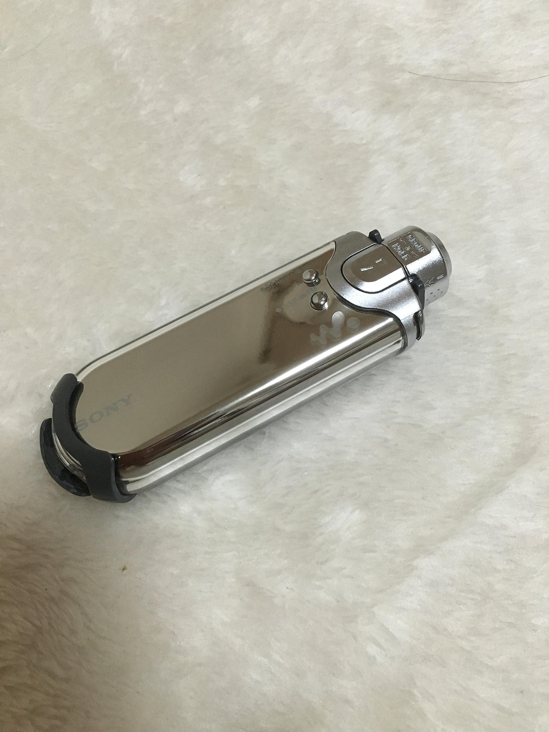 Amazon.co.jp: SONY ネットワークウォークマン [NW-E505 S] : 楽器