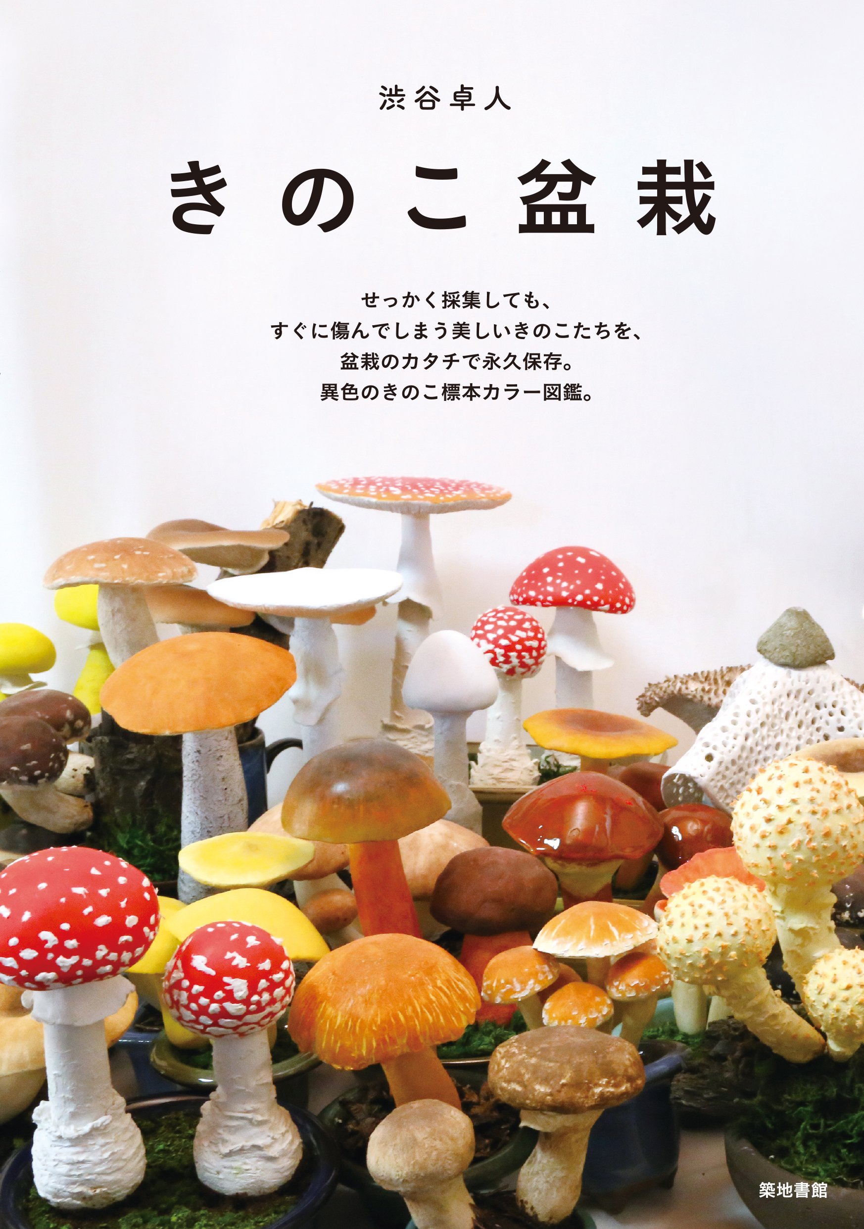 きのこ盆栽 | 渋谷 卓人 |本 | 通販 | Amazon