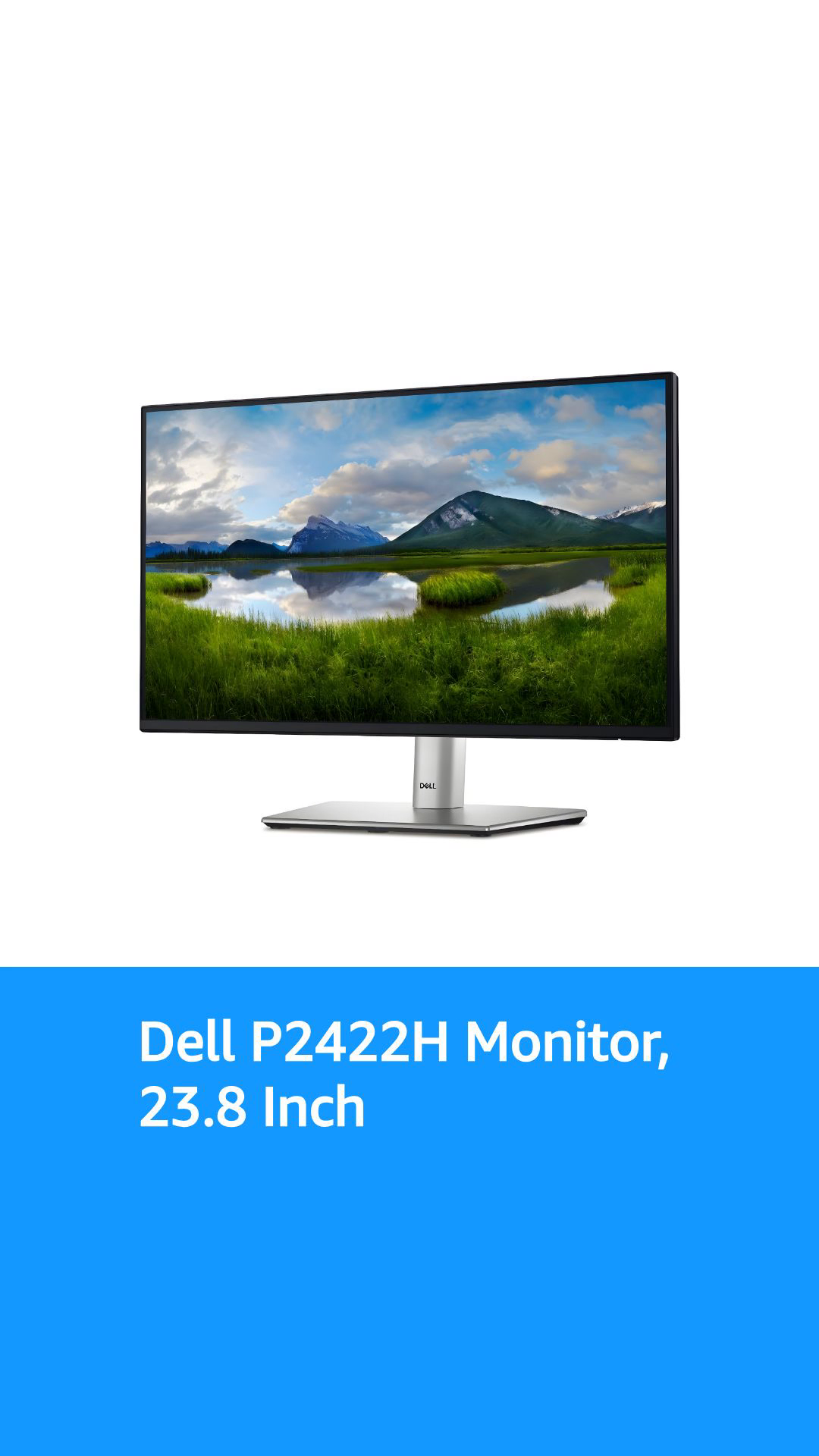 Dell 24 Monitor - P2422H - Full HD 1080p, IPS Technology