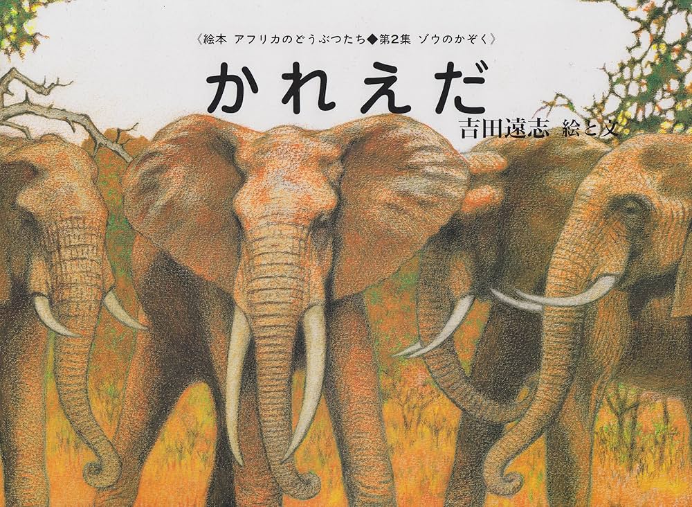 Amazon.co.jp: かれえだ (絵本アフリカのどうぶつたち 第 2集 ゾウのか