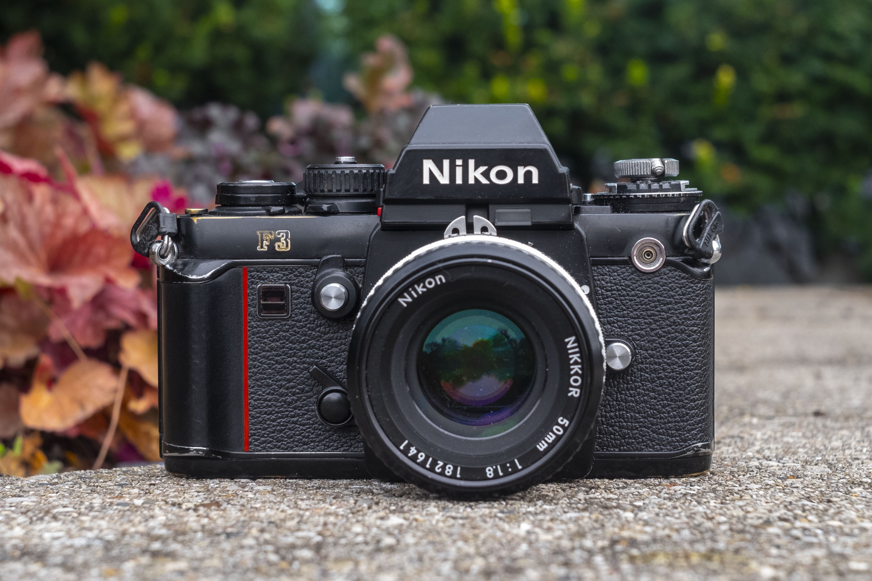 Nikon F3 (1980) – mike eckman dot com