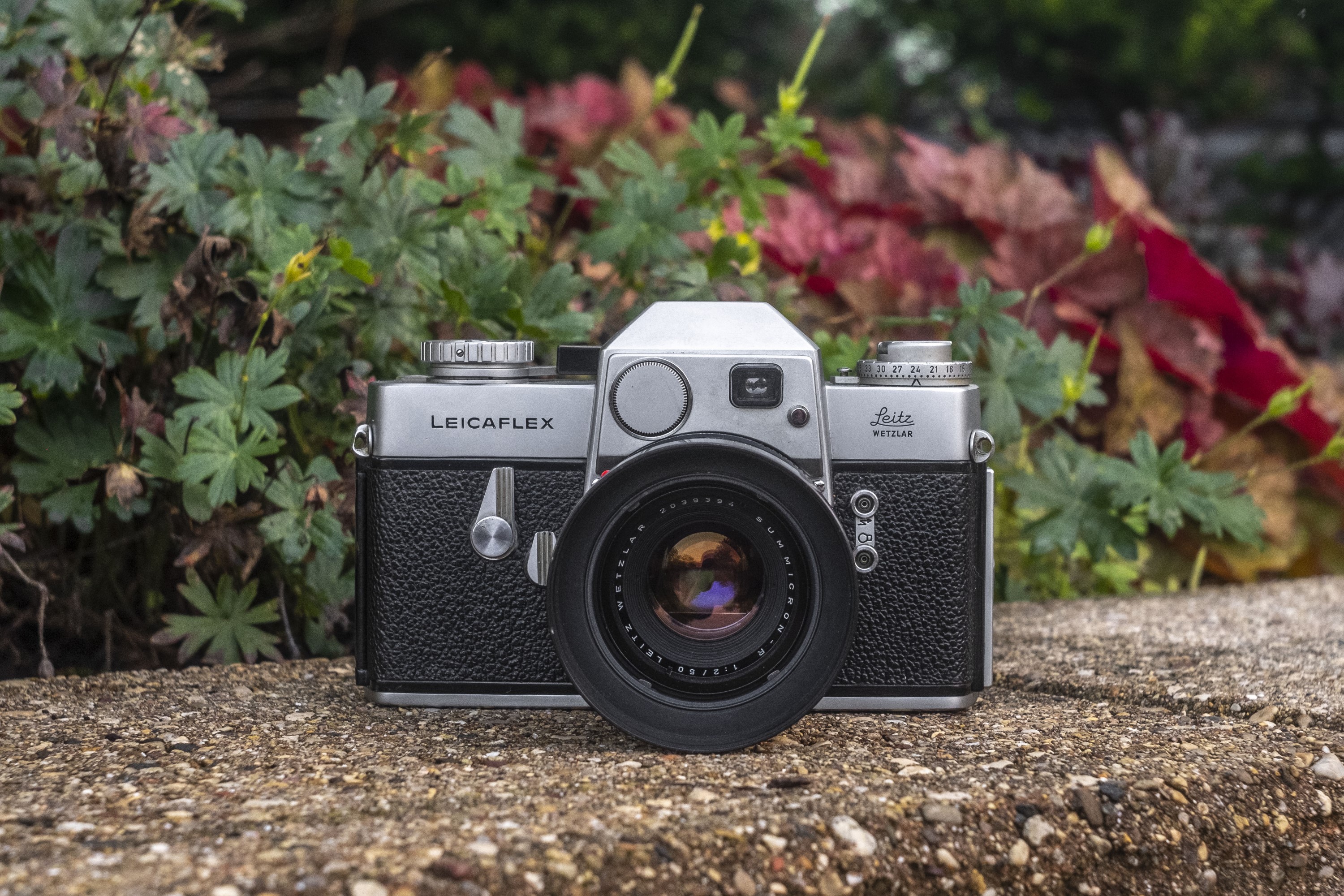 Leicaflex (1964) – mike eckman dot com