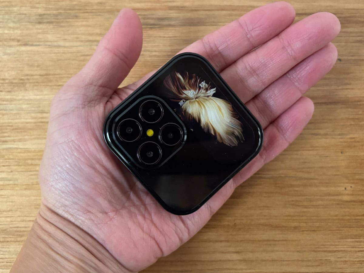 安すぎて不安…」中国系の通販サイトで3000円以下で購入した“怪しげな