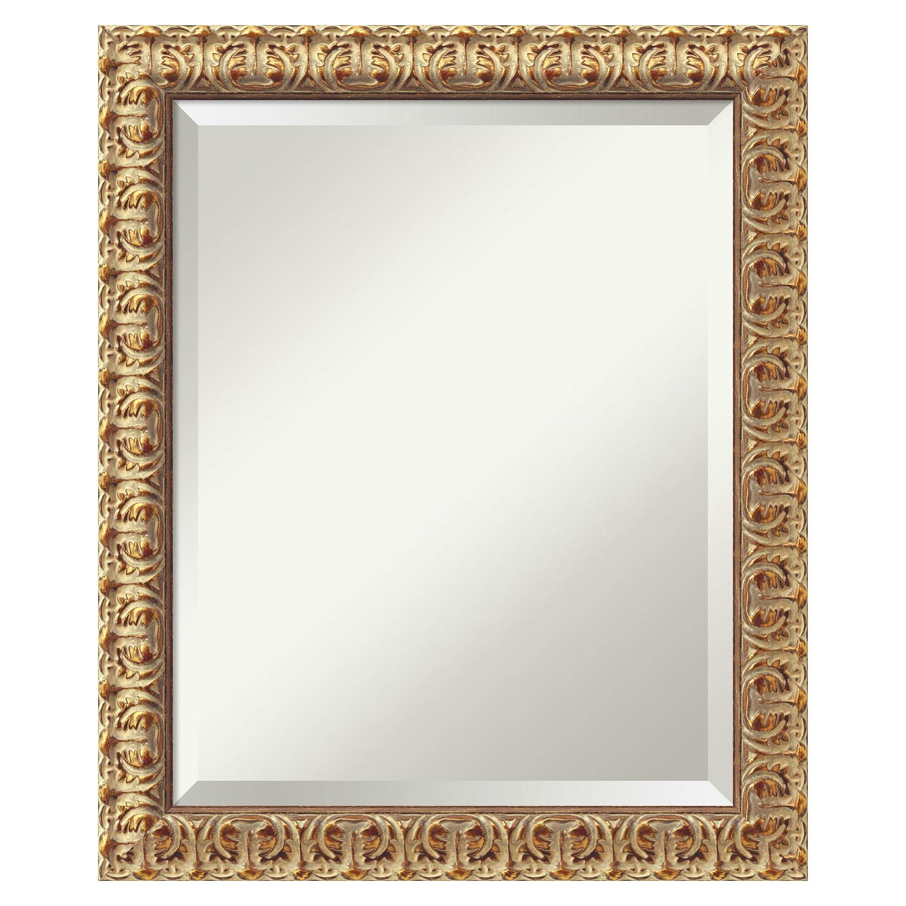 Amanti Art Florentine Gold 19.5-in W x 23.5-in H Antique Gold