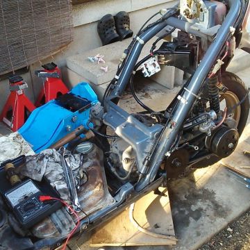 ホンダ（HONDA） ライブディオZX | Live Dio ZXの写真/画像をバイクSNS