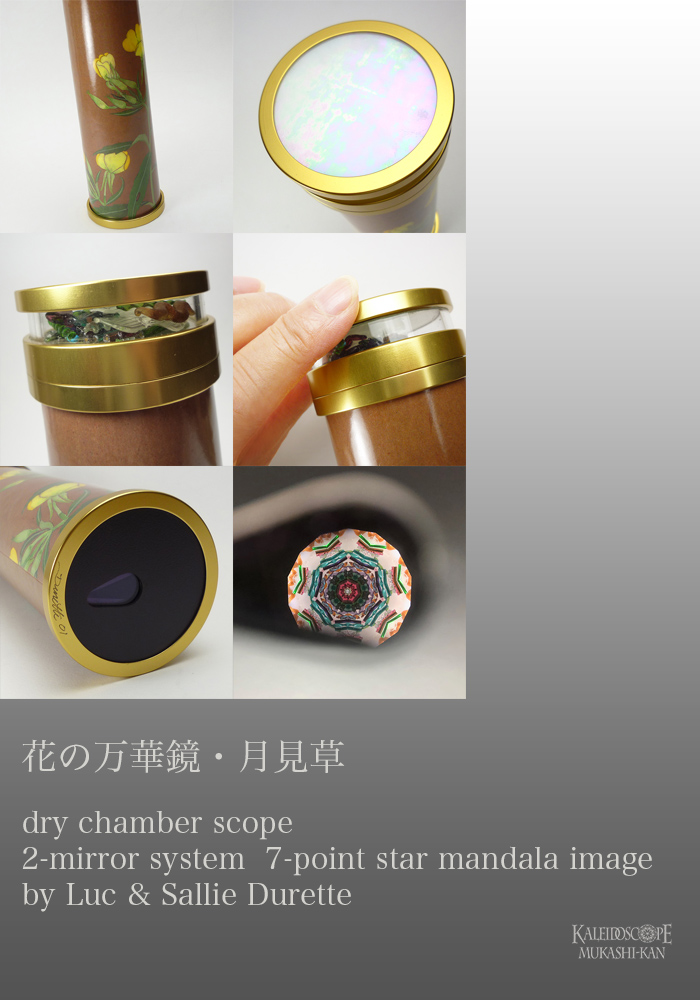 万華鏡：ドライ]花の万華鏡・月見草：ルーク＆サリー・デュレット[送料