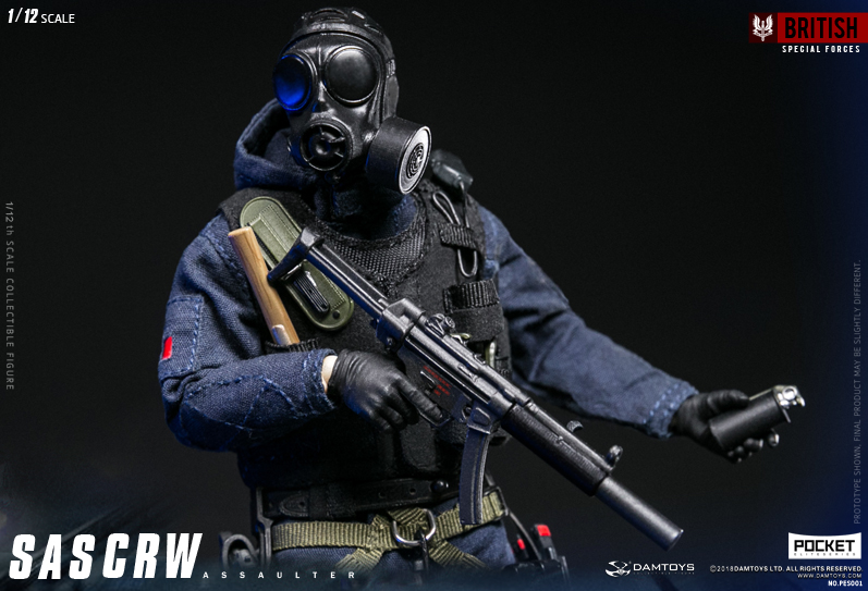 DAMTOYS 1/12 POCKET ELITE SERIES SAS CRW ASSAULTER | 株式会社ノーツ