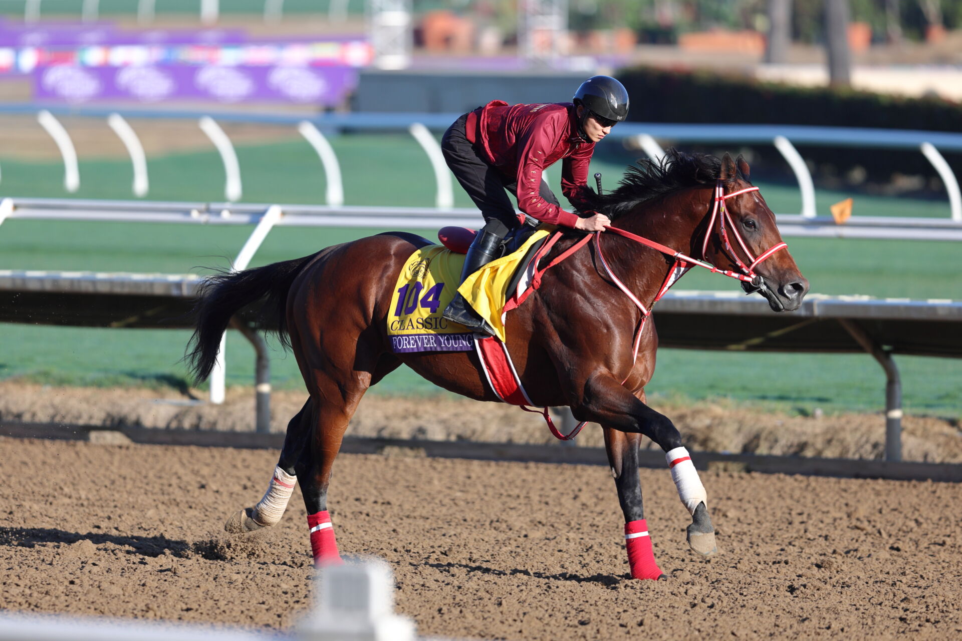 20251101-00123927-keibana-000-