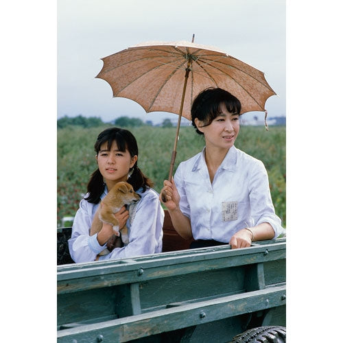 大河ドラマ いのち 完全版 第壱集 DVD全7枚 -NHKグループ公式通販