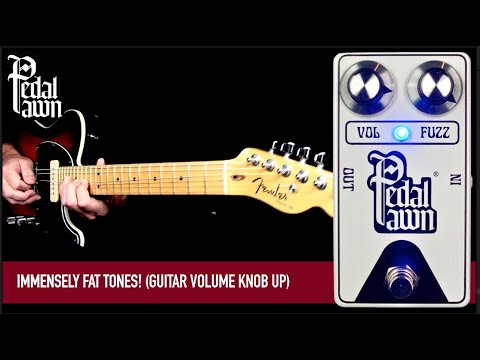 Pedal Pawn - FUZZ | ファズ ギター エフェクター – NINEVOLT