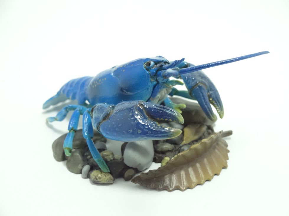 週刊日本の天然記念物 5