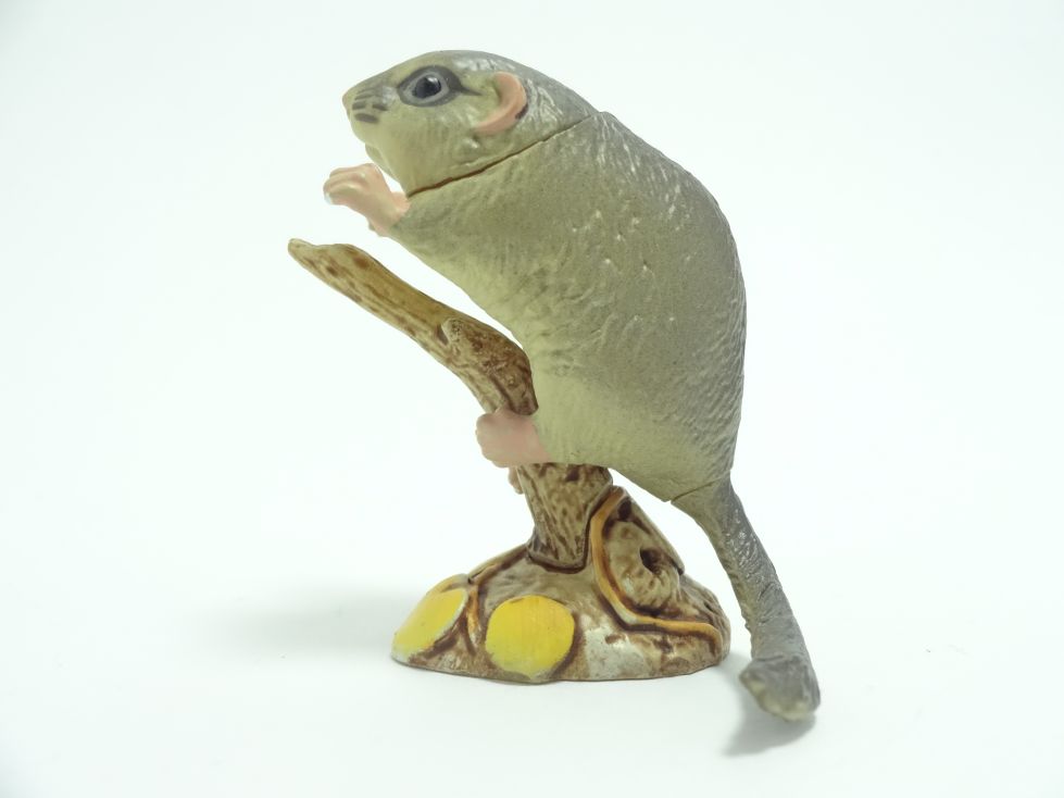 週刊日本の天然記念物 5