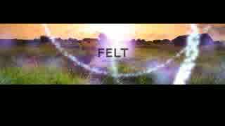 FELT 19th Album | Rebirth Story Ⅲ