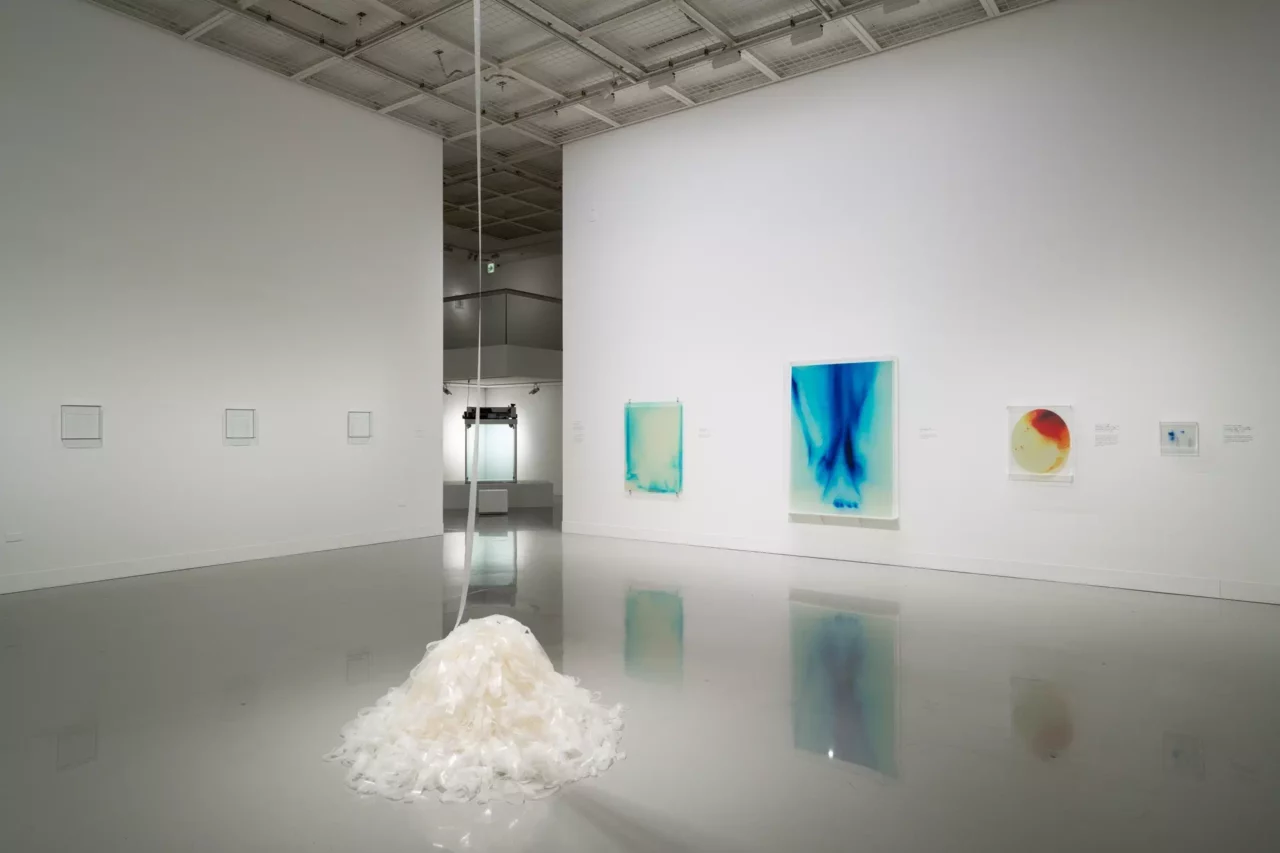 Zai Nomura Celebrated for Profound Exploration of “Life and Death