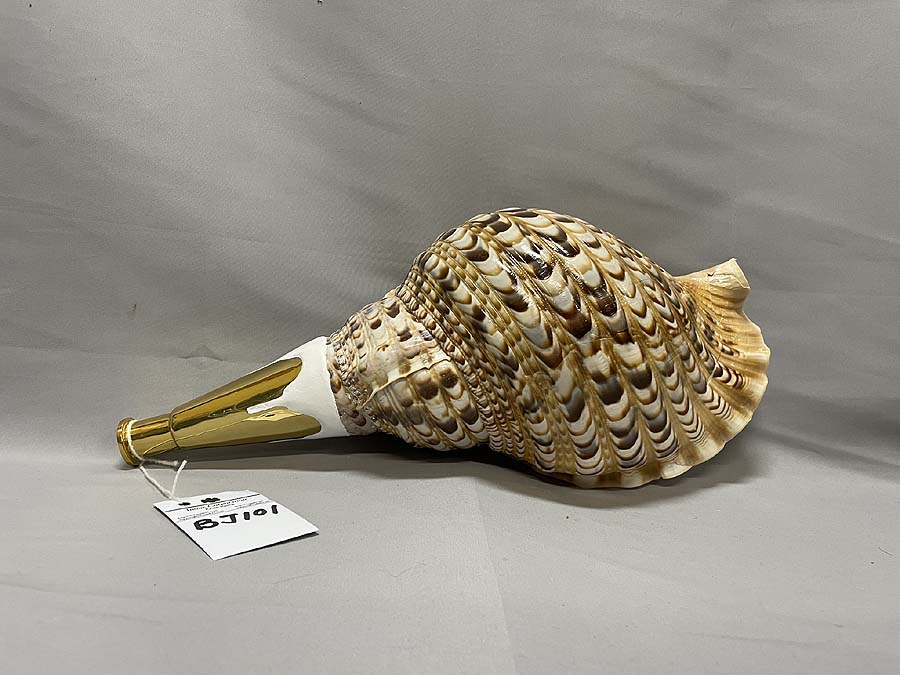 法螺貝 約36㎝ 木製歌口,新品 MH-451 法螺貝 約36㎝ 木製歌口,新品 MH