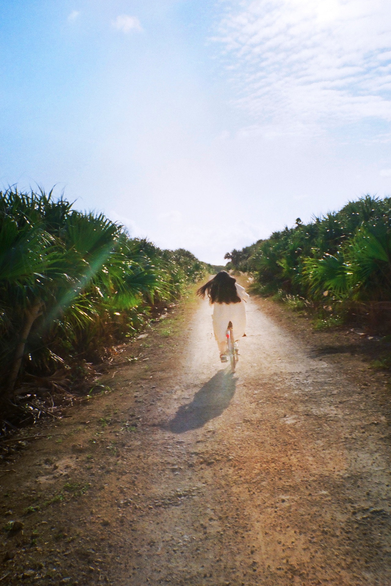 青葉市子、新作「アダンの風」発売記念トークイベント開催（コメント