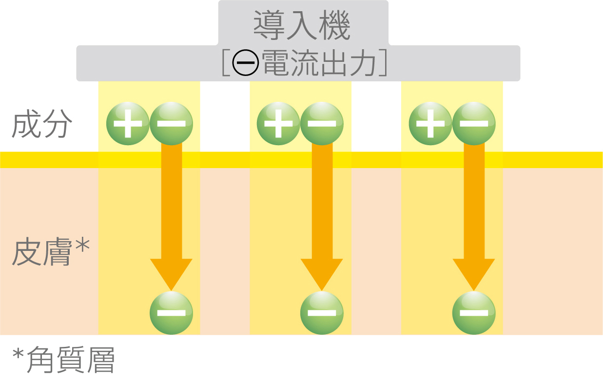 イオンザイム®DF-Ⅲ＋ | ジャスミン Jasmine